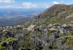 NW Bay seen from Mt Wellington